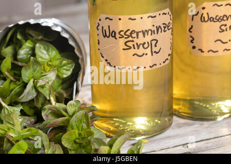 Wasserminze-Sirup, Wasserminzensirup, Wasserminzen-Sirup, Sirup, Kräutersirup, Wildkräutersirup, Wasser-Minze, Wasserminze, Minze, Mentha aquatica, Ho Foto Stock