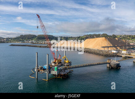 Trucioli di legno su Dockside pronto per l'esportazione a Burnie Tasmania Foto Stock