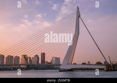 La moderna architettura di Erasmusbrug (Ponte Erasmus) e dello skyline di Katendrecht al crepuscolo, Rotterdam, Paesi Bassi. Foto Stock