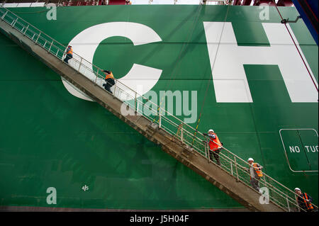 Gdansk, Polonia. Il 17 maggio 2017. Alloggio scala per 400 metri di lunghezza della nave portacontainer CSCL Oceano Artico ha una capacità di 19,100 TEU ed è una delle più grandi navi container del mondo. La nave è di proprietà di China COSCO Shipping, parte dell'Oceano Alliance, il più grande accordo operativo mai realizzati tra le società di navigazione. L'Alleanza ha cominciato oggi 17 maggio 2017 la co-operazione con il gambero di terminal per container in DCT Gdansk, Polonia. Credito: Wojciech Strozyk/Alamy Live News Foto Stock