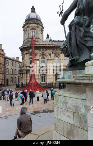 Finestra di pianto, papaveri nel centro di Hull Foto Stock