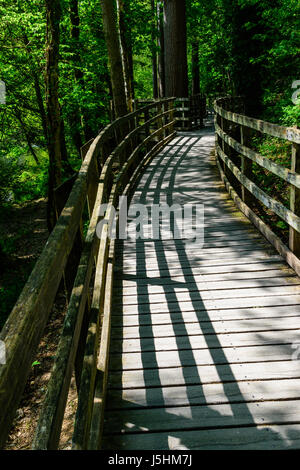 Sollevate la passerella in legno Foto Stock