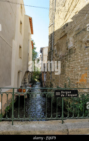 Strette vie navigabili e il ponte, l'Isle-sur-la-Sorgue. Francia Foto Stock