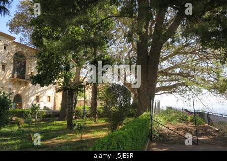 Monreale (siciliana: murriali) è una città e comune in provincia di Palermo. interessante tree Foto Stock