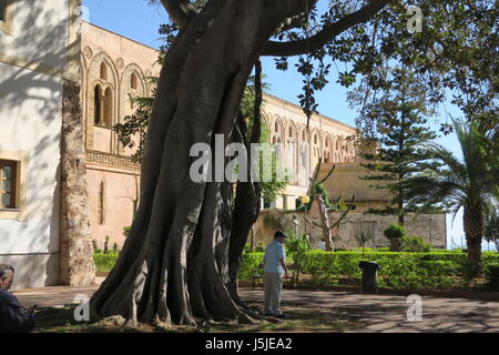 Monreale (siciliana: murriali) è una città e comune in provincia di Palermo. interessante tree Foto Stock