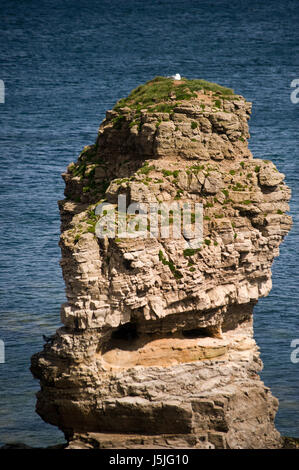 Il Leas sentiero costiero, Marsden bay, South Shields Foto Stock