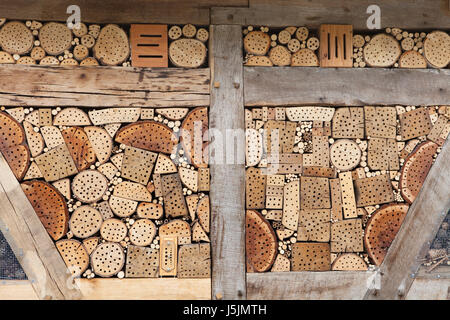 Asilo di insetto, casella di insetto, un aiuto artificiale per la nidificazione di svernamento e di insetti Foto Stock