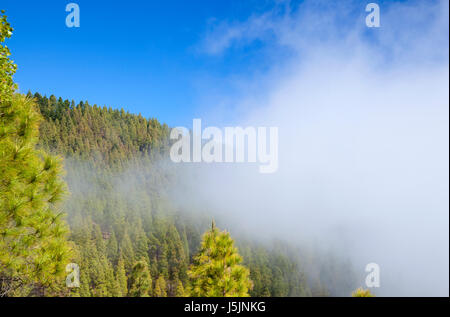 Gran Canaria, centrale delle zone di montagna dell'isola, le nuvole provenienti in valle di montagna da destra Foto Stock