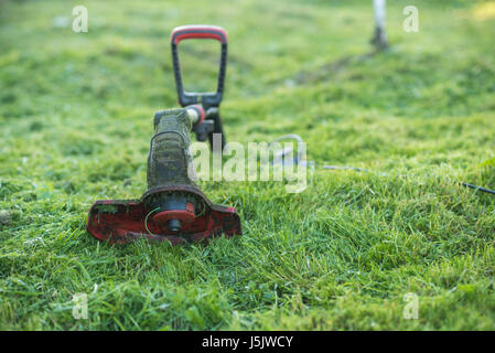 Trimmer stringa giace sul prato falciato medio del cantiere, strumento Foto Stock