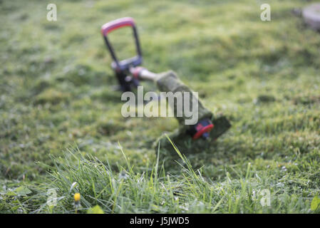 Trimmer stringa giace sul prato falciato medio del cantiere, strumento Foto Stock