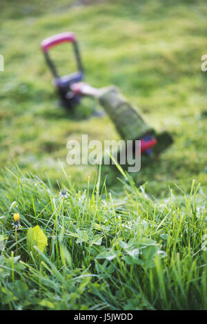 Trimmer stringa giace sul prato falciato medio del cantiere, strumento Foto Stock