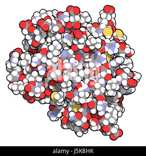 CD3 proteina (epsilon/delta ectodominio dimero). CD3 è presente sulla superficie dei linfociti T e è richiesto per l'attivazione delle cellule T. Il rendering 3D. Foto Stock