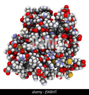 CD3 proteina (epsilon/delta ectodominio dimero). CD3 è presente sulla superficie dei linfociti T e è richiesto per l'attivazione delle cellule T. Il rendering 3D. Foto Stock