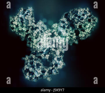Pembrolizumab anticorpo monoclonale proteina farmaco. Immune inibitore di checkpoint preso di mira PD-1, utilizzato nel trattamento di un certo numero di cancri. Foto Stock