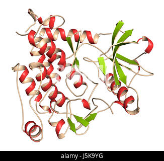 Fattore di crescita ottenuto da piastrine per il recettore A (PDGFRA, dominio di chinasi di proteina). Obiettivo di anticancro anticorpo monoclonale olaratumab. Il rendering 3D. Foto Stock