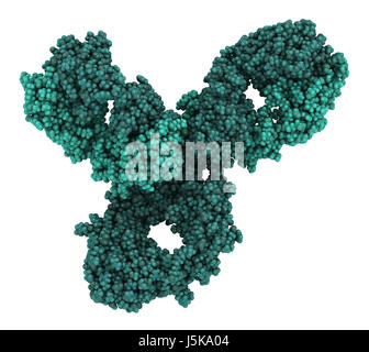 Pembrolizumab anticorpo monoclonale proteina farmaco. Immune inibitore di checkpoint preso di mira PD-1, utilizzato nel trattamento di un certo numero di cancri. Foto Stock