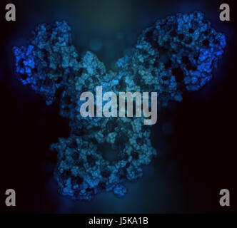 Pembrolizumab anticorpo monoclonale proteina farmaco. Immune inibitore di checkpoint preso di mira PD-1, utilizzato nel trattamento di un certo numero di cancri. Foto Stock