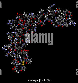 Sclerostin (murina) proteina. Cause diminuita formazione ossea da inibire pathway del segnale di wnt. Obiettivo di romosozumab, un anticorpo monoclonale. Foto Stock