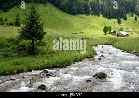 Costruzione casa bucolica alberi tree hill montagne verde agricoltura agricoltura alpi Foto Stock