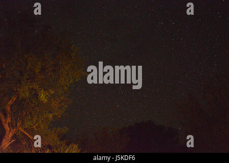 Big Bend ha la minima quantità di inquinamento luminoso di qualsiasi parco nazionale nella parte inferiore 48 e su una chiara notte come molti come 2000 stelle può essere visibile Foto Stock