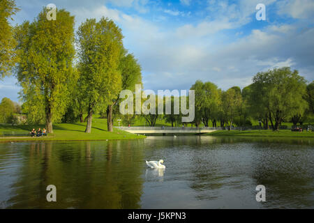 Monaco di Baviera, Germania - 6 Maggio 2017 : una vista degli alberi e il lago con un cigno nel Parco Olimpico di Monaco di Baviera, Germania. Foto Stock