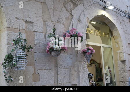 Ortigia è piccola isola che è il centro storico della città di Siracusa, Sicilia. un sacco di vecchi, mantenuto case, molti luoghi di interesse storico. Foto Stock