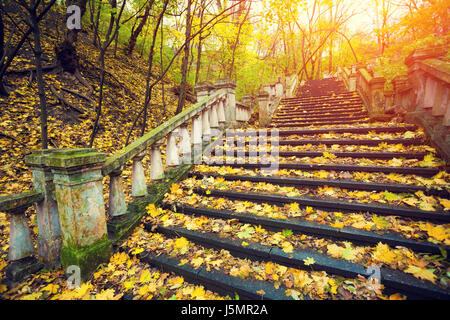 Park a sunrise. Scale coperto con foglie cadute, Foto Stock