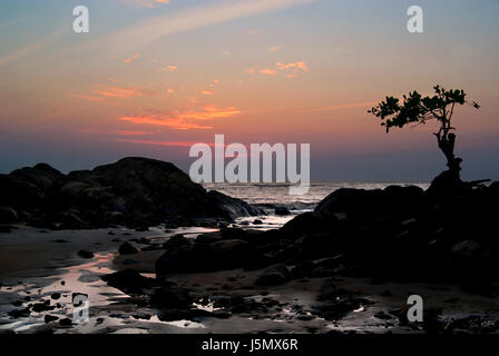 Tree africa al tramonto di sera rock tendenza oceano atlantico acqua salata oceano mare Foto Stock