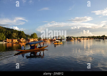 Sera bello dal Lak mondo-famoso lago dal, UN giro di Shikara, Jannat su missione, Casa barca, shikaras, lago dal, Kashmir, (© Saji Maramon) Foto Stock