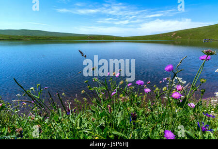 Lago vulcanico di la Godivelle,Parco Naturale Regionale dei Vulcani d'Auvergne Puy de Dome, Auvergne Francia, Europa Foto Stock