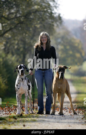 Donna in attesa di attesa ridere risate ridere twit risatina sorriso sorridente risate Foto Stock