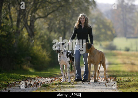 Donna in attesa di attesa ridere risate ridere twit risatina sorriso sorridente risate Foto Stock