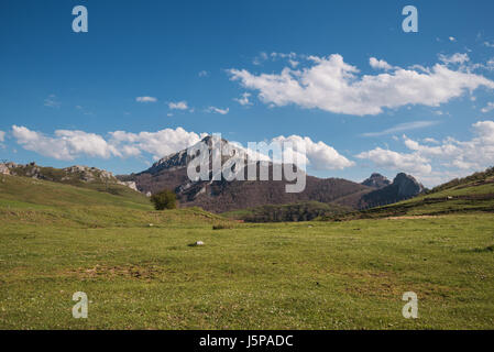 Paesaggio naturale nelle montagne di Palencia, Castilla y Leon, Spagna. Foto Stock