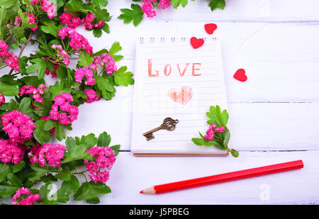 Aprire il notebook di carta con la scritta amore, accanto il ramo di biancospino con fiori di colore rosa Foto Stock