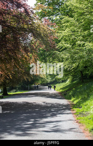 Leeds, Regno Unito. 18 Maggio, 2017. Per coloro che godono di una mattina lavorano intorno Roundhay Park a Leeds il 18 maggio 2017. Una luminosa e soleggiata giornata porta sollievo per la pioggia di inizio settimana. Credito: James Copeland/Alamy Live News Foto Stock