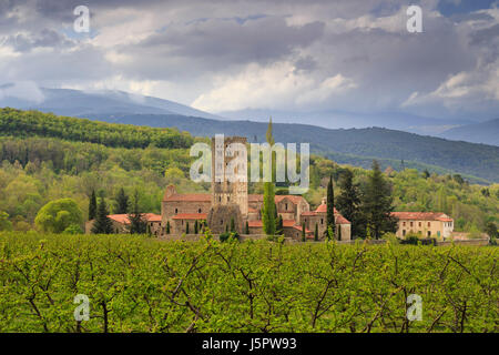 Francia, Pirenei Orientali, Codalet, Abbazia di Saint Michel de Cuxa Foto Stock