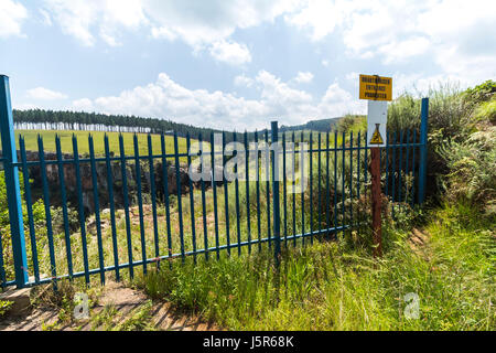 Diretto alla Berlino cade nel Fiume Blyde area in Sud Africa Foto Stock