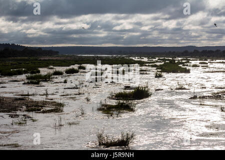 Vista sul fiume Olifants al mattino nel Parco di Kruger Foto Stock