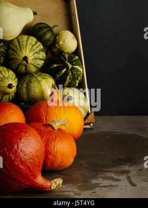 Scatola di legno con diversi tipi di zucche Foto Stock