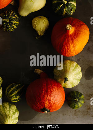 Diversi tipi di zucche Foto Stock