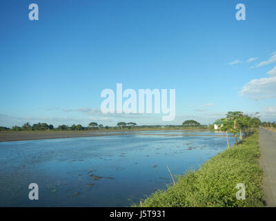 02912 risaie praterie alberi capre Cortez Road Concepcion San Simon Pampanga 04 Foto Stock