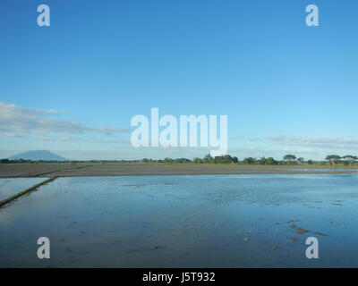 02912 risaie praterie alberi capre Cortez Road Concepcion San Simon Pampanga 05 Foto Stock