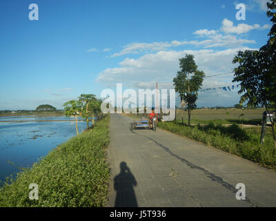 02912 risaie praterie alberi capre Cortez Road Concepcion San Simon Pampanga 08 Foto Stock