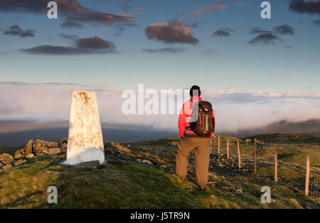 Walker sul Vertice di grande Stony Hill con le colline a sud-ovest è avvolta nella nebbia Hill, Superiore Teesdale, County Durham, Regno Unito Foto Stock