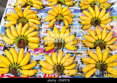 CHIANG MAI, Thailandia - 21 agosto: Mazzetto di banane in vendita a Chiang Mai Street Market, il 21 agosto 2016 a Chiang Mai, Thailandia. Foto Stock