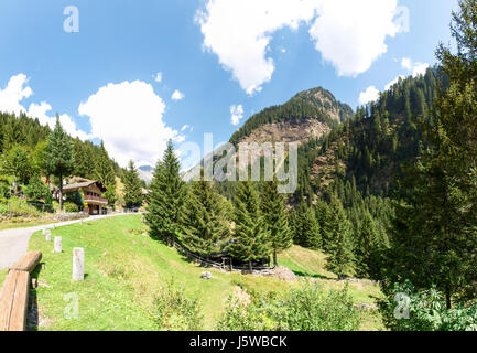 Val Calanca, Svizzera: Foto della boscosa e ripida Valle Foto Stock