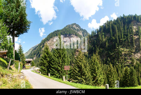 Val Calanca, Svizzera: Foto della boscosa e ripida Valle Foto Stock