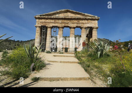 Su una collina appena fuori sito dell antica città di Segesta si trova un insolitamente ben conservato greco tempio dorico. Fu costruita nel 420's prima di Cristo. Foto Stock