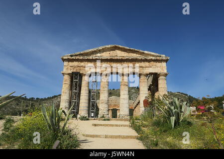 Su una collina appena fuori sito dell antica città di Segesta si trova un insolitamente ben conservato greco tempio dorico. Fu costruita nel 420's prima di Cristo. Foto Stock