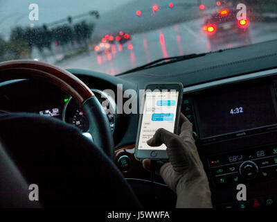 Driver femminile in l/h guidare il veicolo nascostamente texting con iPhone smartphone durante la guida sul bagnato trafficata autostrada al crepuscolo California USA Foto Stock